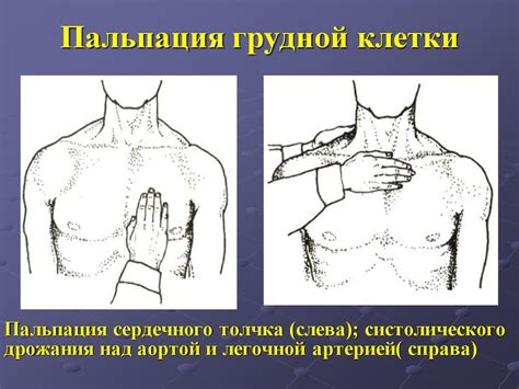 Методы пальпации, перкуссии и аускультации в диагностике заболеваний ...