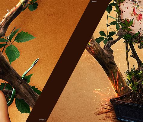 Blossom on Behance