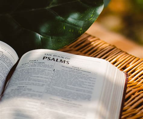 beauty   psalms hopelify media