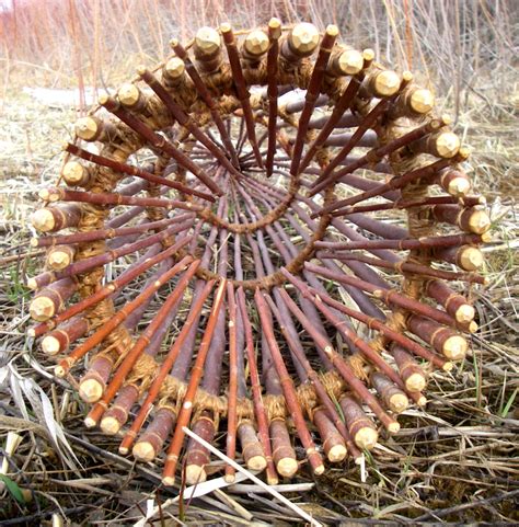 Fish Traps | CSKT | Division of Fish, Wildlife, Recreation, & Conservation