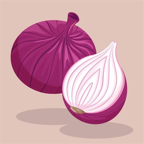 red onion slice vector art icons  graphics