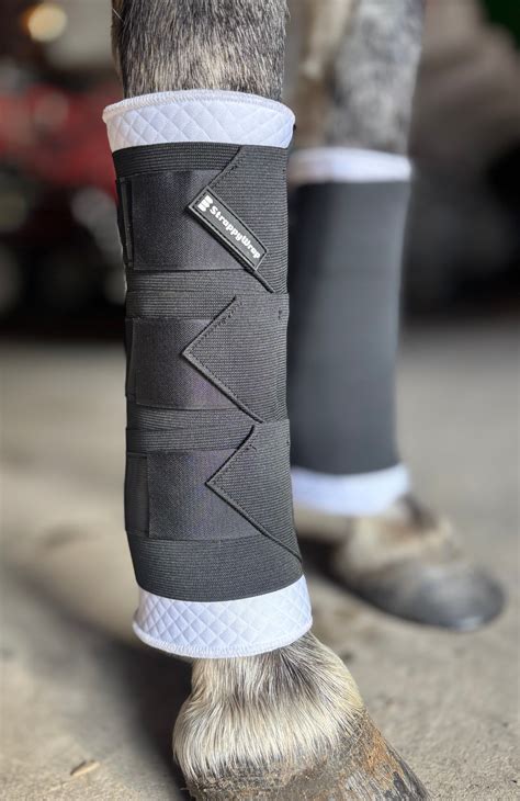 Leg Wraps for Horses: Comparing Types and Why StrappyWrap Stands Out