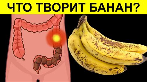 Даже один БАНАН вызывает НЕОБРАТИМЫЙ процесс в организме - YouTube
