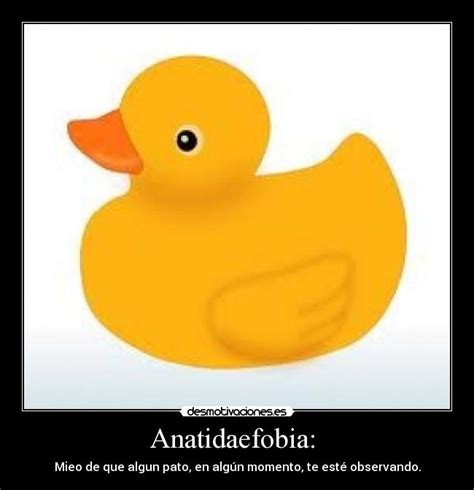 Imágenes y Carteles de ANATIDAEFOBIA Pag. 2 | Desmotivaciones
