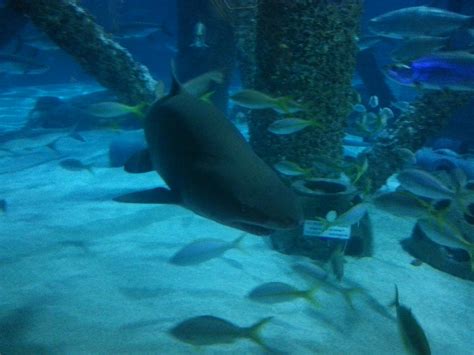 Capture Your Grief 2015- Day 13. Regrets and Triggers | thelossofreason