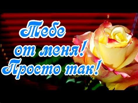 Это тебе от меня! Просто так! Улыбнись! - YouTube