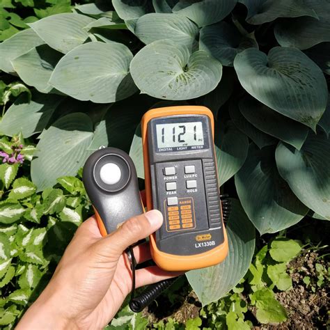 Understanding Light – Using a Light Meter – House Plant Journal