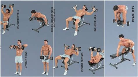 Dumbbell Training: What Are The Benefits Of Training With Dumbbells ...
