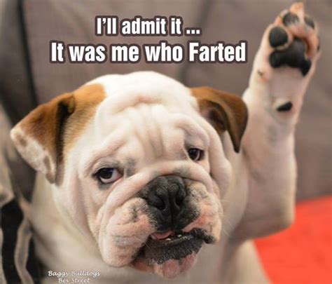 94 Best images about Funny farts on Pinterest | Amy poehler quotes ...