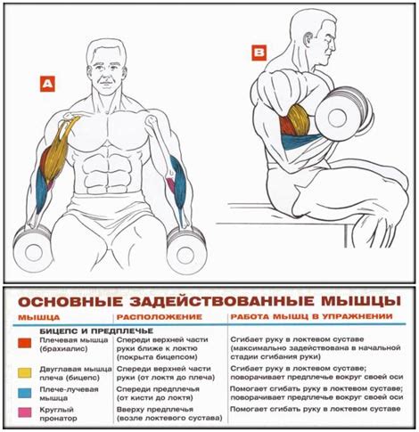 Каталог упражнений