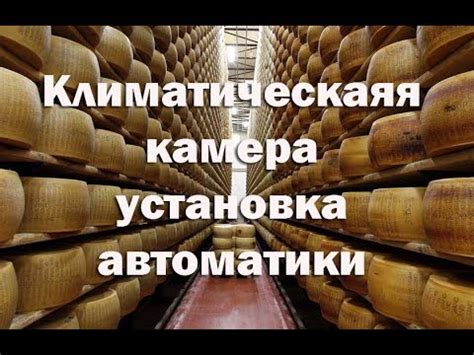 Камера для вызревания сыров и сыровяленых колбас. Как установить ...