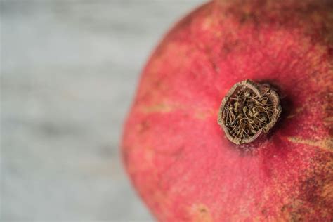 Red Pomegranate Seeds · Free Stock Photo