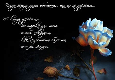 Картинки с надписями.