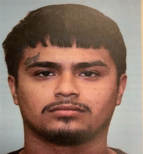 PD seeks multiple people after vehicles stolen in McAllen | KVEO-TV