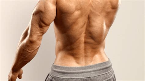These Are the 8 Greatest Decrease Again Workout routines for ...