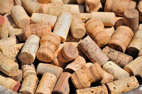 Bunch of wine corks | Stock image | Colourbox