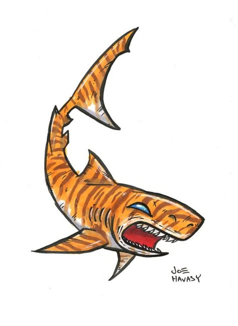 Tiger Shark Drawing at PaintingValley.com | Explore collection of Tiger ...