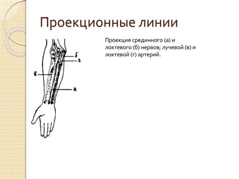 Топографическая анатомия и оперативная хирургия верхней конечности ...