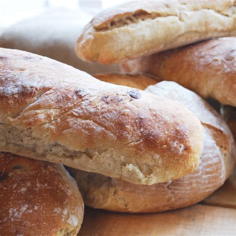 panini plain ciabattini