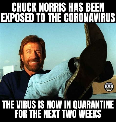 Chuck and the Covid-19 : r/memes