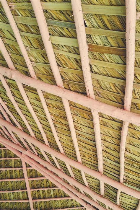 Palm Tree Leaves Roof Free Stock Photo - Public Domain Pictures