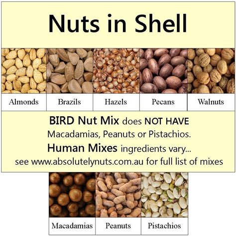 Mixed Nuts IN SHELL HUMAN MIX – Absolutely Nuts Australia