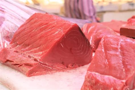 Fresh tuna Stock Photos, Royalty Free Fresh tuna Images | Depositphotos®