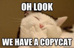 Billy Dog Quotes Funny, Funny Dogs, Funny Cute, 9gag Funny, Funny Stuff ...