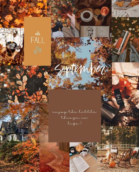 fall aesthetic wallpaper 3