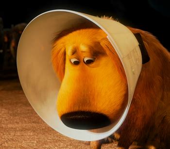 Cone of Shame - TV Tropes