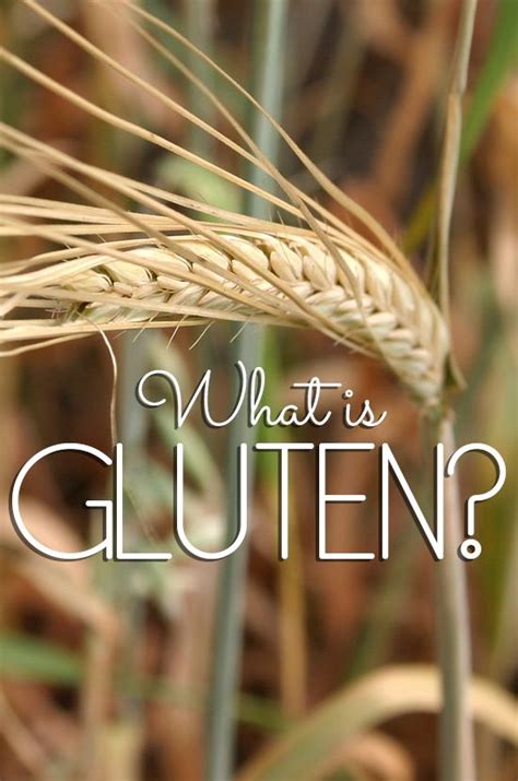 WHAT CAUSES GLUTEN INTOLERANCE? What is gluten? There are a variety of ...