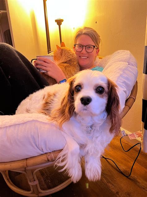 Are Ptsd Dogs Considered Service Dogs