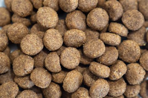 Dr John Hypoallergenic Duck & Salmon Dog Food 12.5kg [Zero VAT] - TrustPet