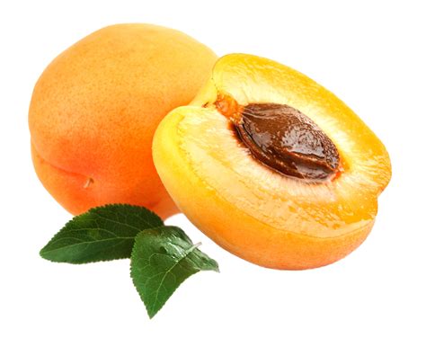 apricot fruit transparent visual digital asset png