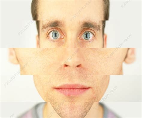 distorted mans face stock image p science photo library