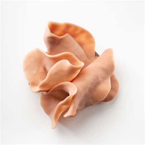 Sneak Peek: Design Miami/ 2023 - Design Miami/Design Miami