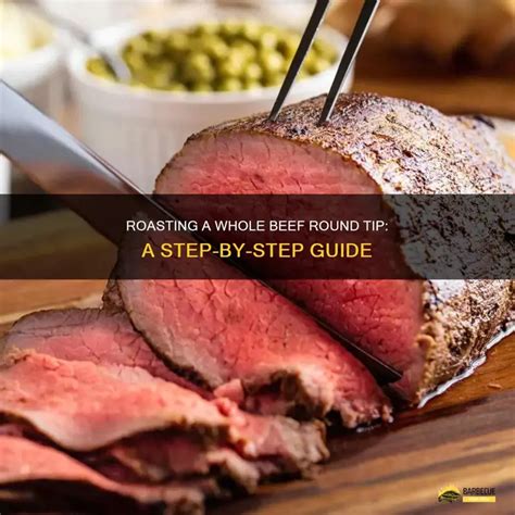 roasting   beef  tip  step  step guide shungrill
