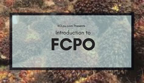 introduction  crude palm oil futures fcpo kclaus webinar