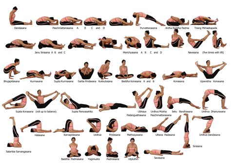 Seated Poses, Backbends and Closing Poses | Posturas de yoga avanzadas
