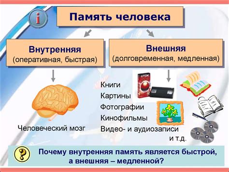 Как развивать память: методы тренировки, упражнения для взрослых и ...