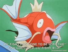 Pokemon Magikarp Evolution Gif