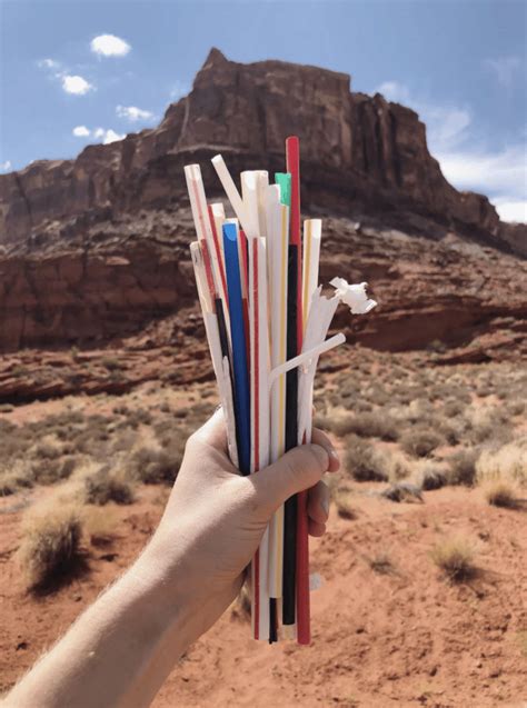 Trash Gathered at National Parks Reveals Need to Speed Plastic Phaseout ...