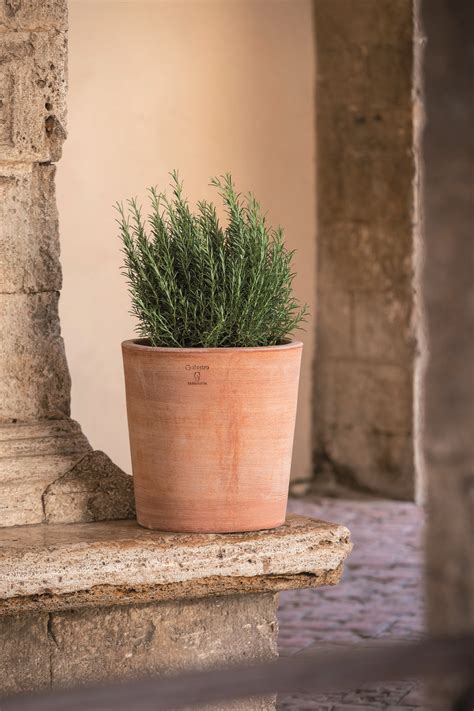 Vase ceramice/керамические вазоны Antico Mestiere