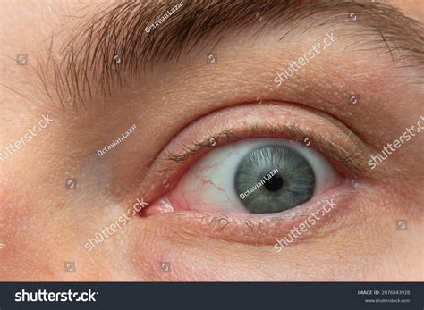 62,625 Eye glance Images, Stock Photos & Vectors | Shutterstock
