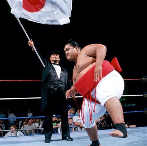 Wwe Best Of Yokozuna - STRENDU