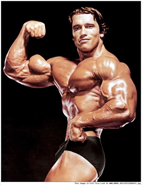 Арнольд Шварценеггер (Arnold Schwarzenegger) Арнольд Шварцнеггер ...