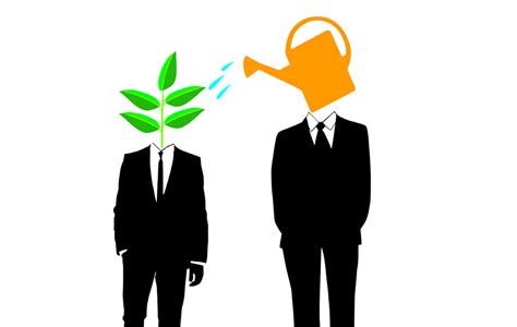 Find a Mentor - Sixth Step to Start a Business