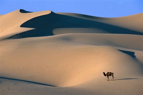 Tourism: Gobi Desert