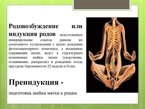 Индукция родов (родовозбуждение) - презентация онлайн