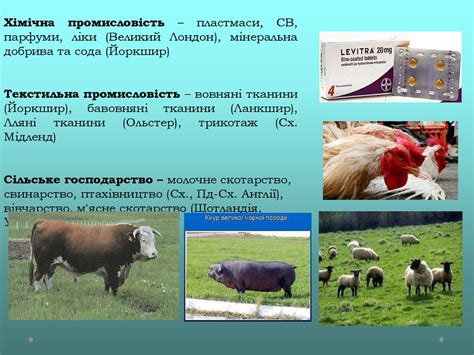 Великобританія. Сполучене Королівство Великобританії і Північної ...
